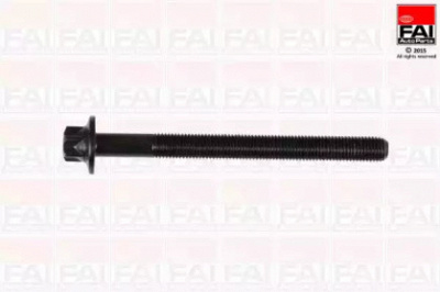 FAI AUTOPARTS b896 -  Комплект болтов головки цилидра